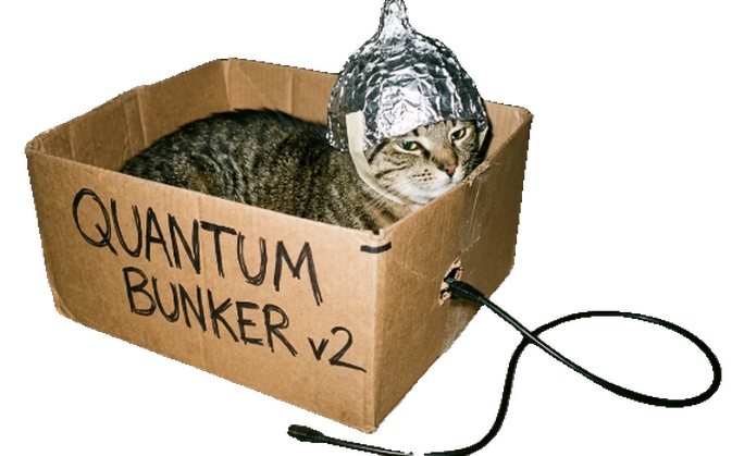 Quantum Bunker Cat